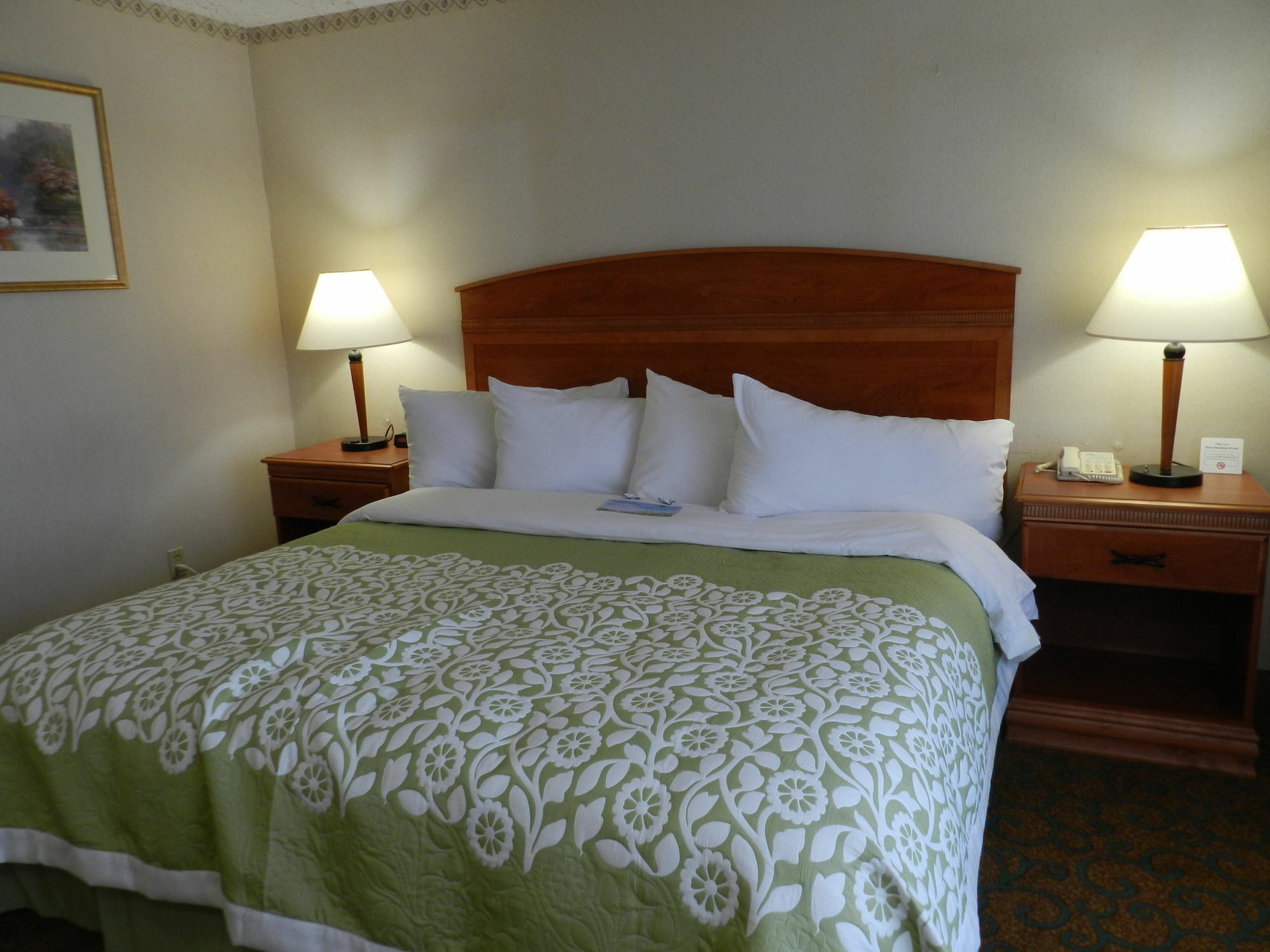 Hotel Clarion Pointe Rhinelander Downtown Extérieur photo